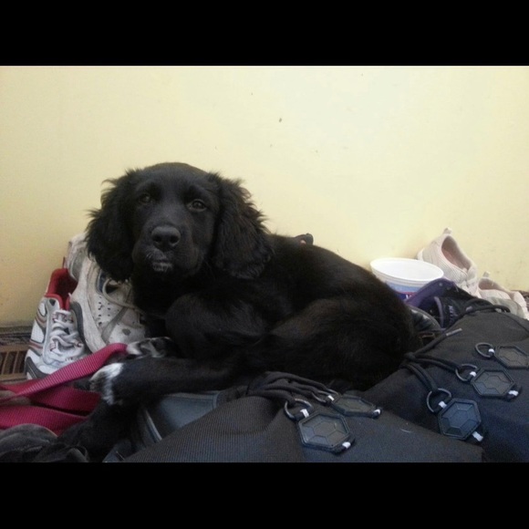 Meet your Posher, Josh - Picture 1 of 1